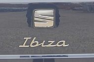 SEAT Ibiza 1.0 TSI 110 FR 5dr